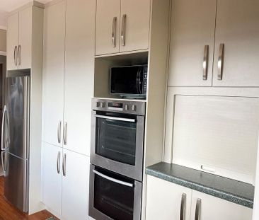 Single level home with 4 bedrooms and 2 Bathrooms - Photo 2