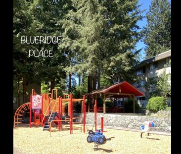 Blueridge Apartments - Photo 2