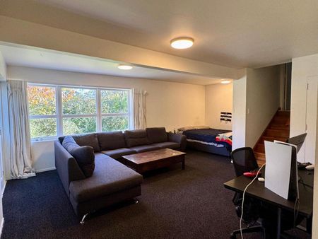 Private family home with pool in Havelock North - Photo 4