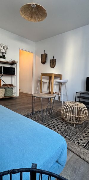 Location Appartement 1 pièce 23m² STE CLOTILDE 97490 - Photo 1