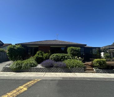 Sunny, Low-Maintenance Home in a Prime Tahunanui Location - Photo 5
