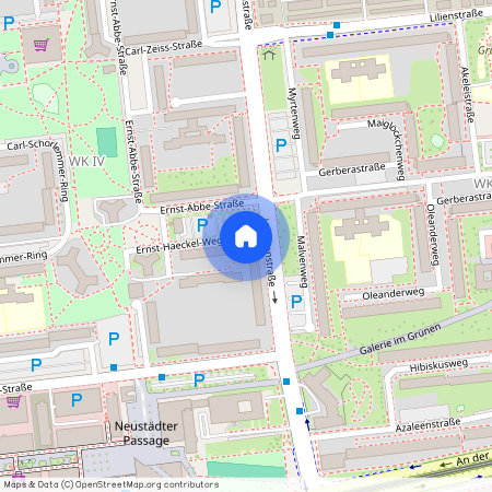 Ernst-Haeckel-Weg 1, 06122, Halle