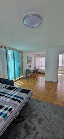 2-ROOM APARTMENT IN LANGWIESEN (ZH), FURNISHED, TEMPORARY - Photo 4