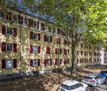 Demnächst frei! 2-Zimmer-Wohnung in Kaiserslautern - Photo 2