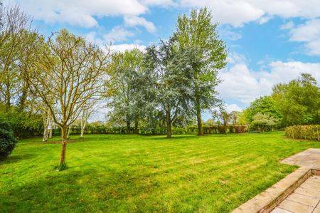 5 bedroom house to rent - Photo 4