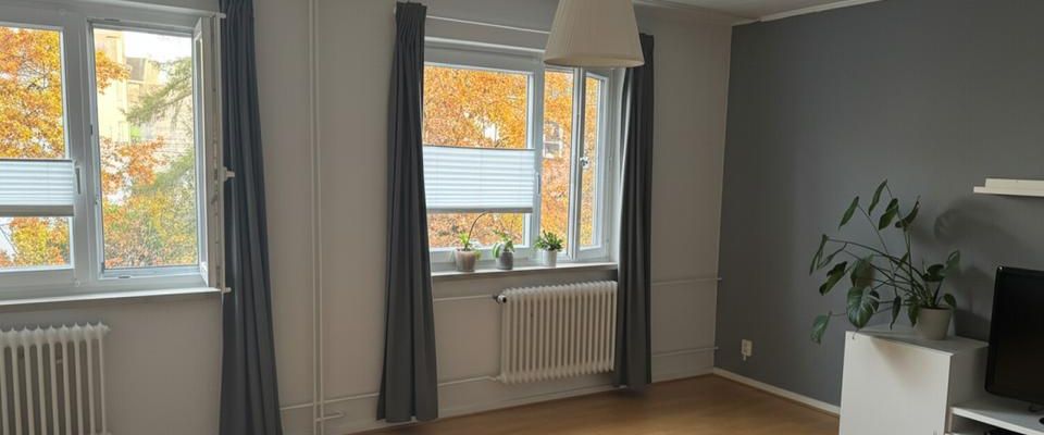 Harmonisches Wohnambiente in Stadtnähe - Foto 1