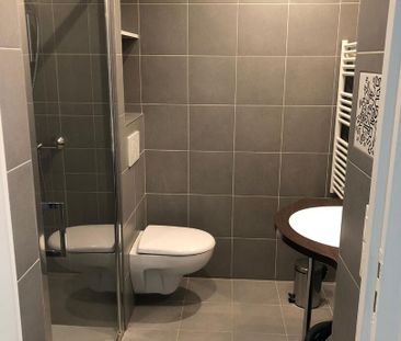 Location Appartement 1 pièce 15m² - Photo 3