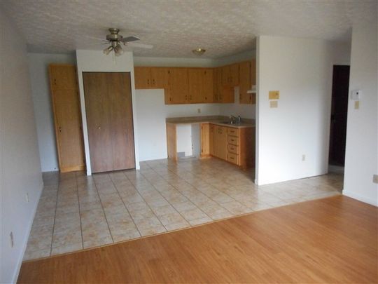 2000-209 Rue Gauthier,(juillet) Sherbrooke, QC J1H 6A5 4½ - Photo 1