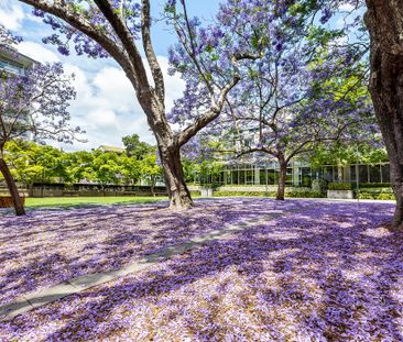 4402/6 Alexandra Drive, Camperdown NSW 2050 - Apartment For Rent | ... - Photo 2