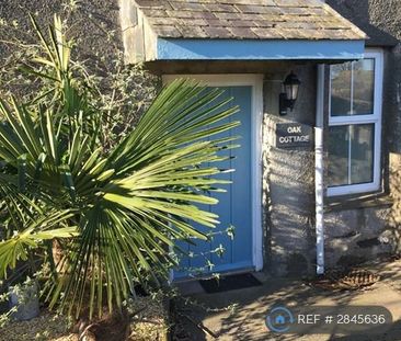 3 bedroom semi-detached house to rent - Photo 6