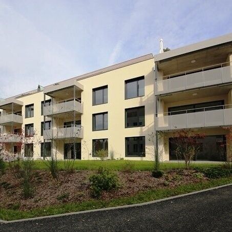 Grosszügige Wohnung sucht neue Familie - Foto 1