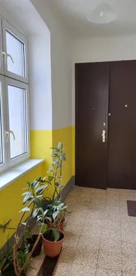 2 ZIMMER WOHNHIT WG TAUGLICH GUTE LAGE - Photo 1