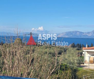 Μονοκατοικία, προς ενοικίαση Ανθηδώνος Κωδικός 1428189 - Photo 6