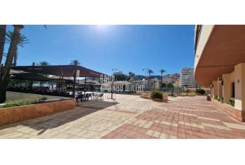 Cullera