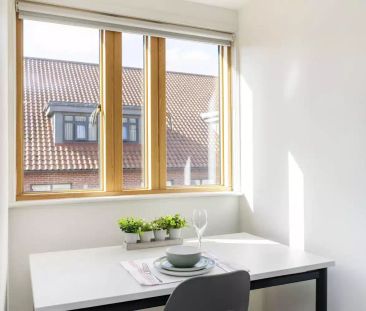 Premium Studio - Photo 3