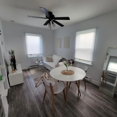 3-1/2 rénové libre des maintenant - Photo 3