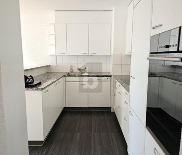 TRAUMHAFTE SICHT ÜBER DAS LIMMATTAL - Foto 4