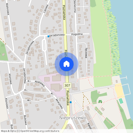 ul. Poznańska, Niepruszewo, Buk, poznański, wielkopolskie