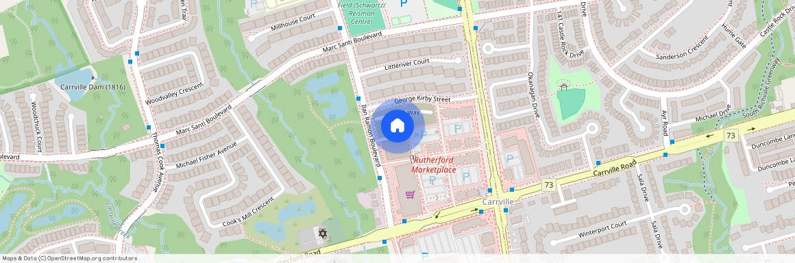 14 Canner Court, Vaughan