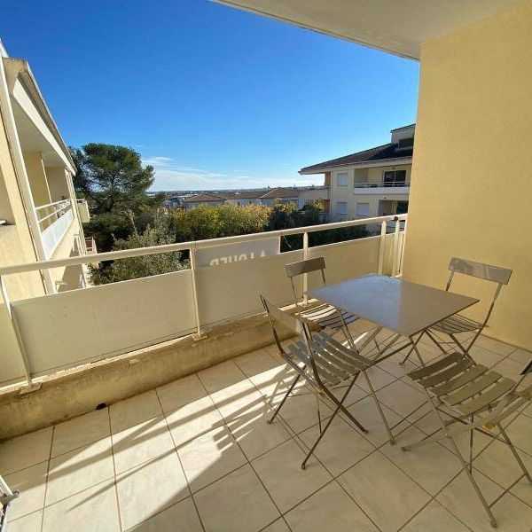 Location appartement 2 pièces 43.18 m² à Montpellier (34000) - Photo 1