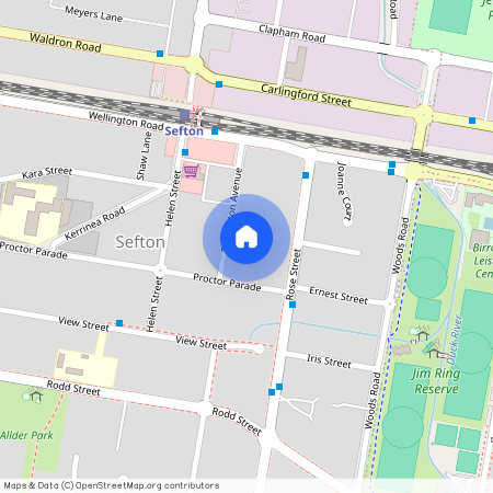 23 Torrington Ave, NSW 2162, Sefton