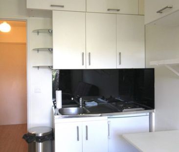 Studio Montigny-le-Bretonneux 17 m² - Photo 4