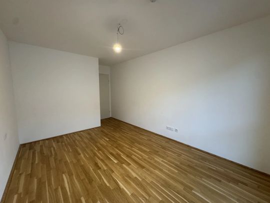 3-Zimmer Neubau! Angenehm, ruhige Lage nahe dem Riverside! JETZT ANFRAGEN! - Photo 1