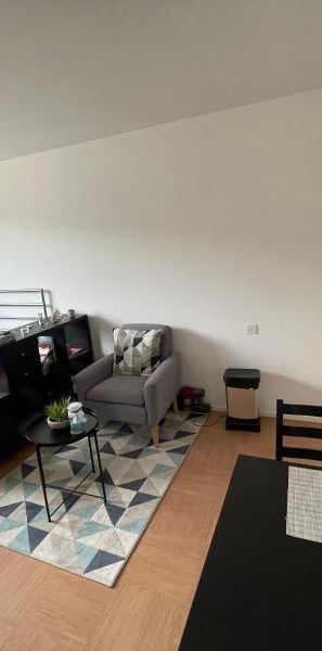 Location Appartement 1 pièce 22m² TOURS 37000 - Photo 1