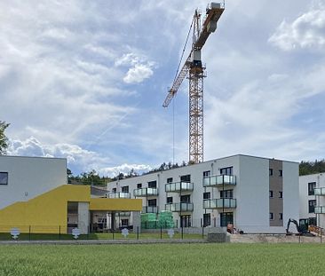 Hier ist das Glück zu Hause! Moderne 2-, 3-und 4-Zimmer-Wohnungen in SC-Wolkersdorf zur Miete! - Photo 5