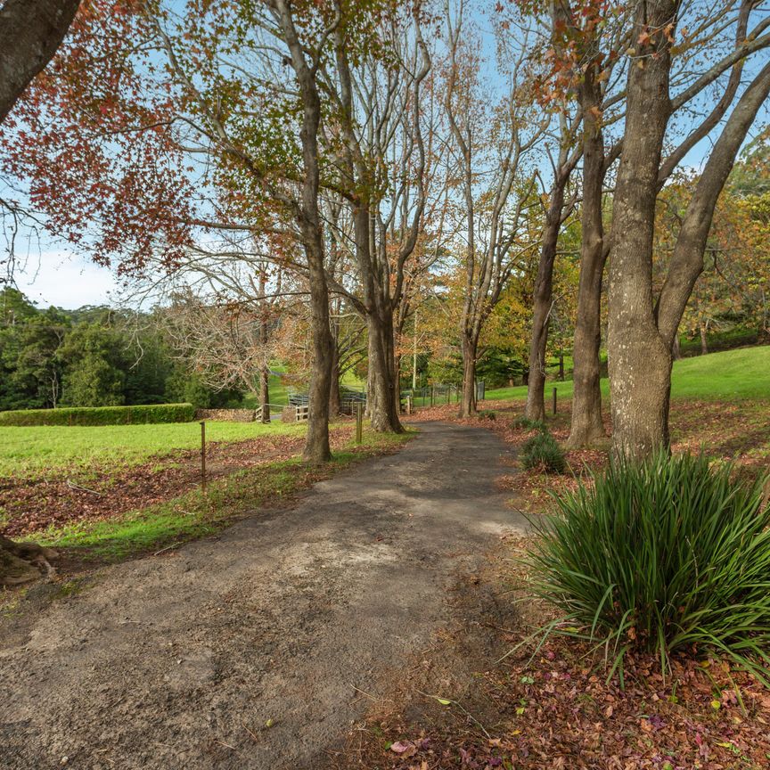 Rural Living with Ocean Views - Photo 1