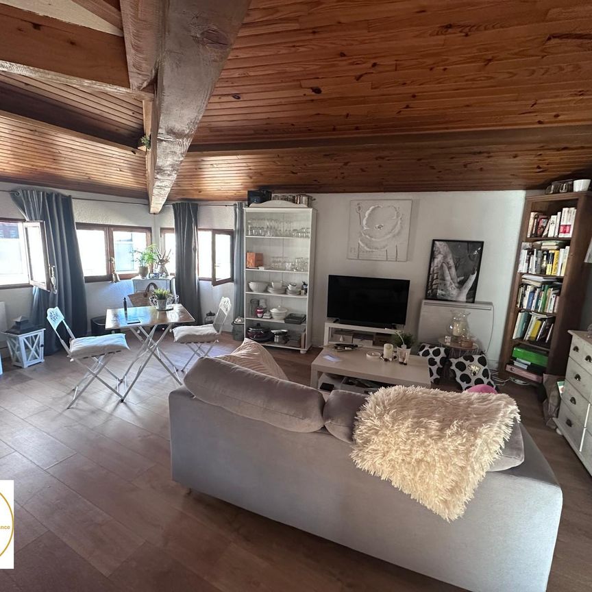 Location Appartement 1 pièce 40m² GAILLAC 81600 - Photo 1