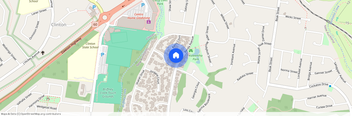 53 Penda Avenue, New Auckland QLD 4680