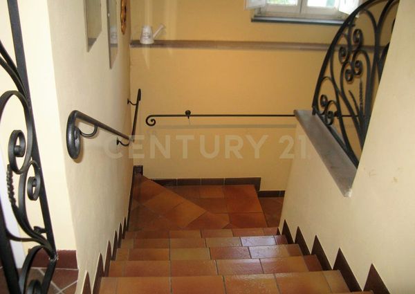 Lucca, Tuscany 55100