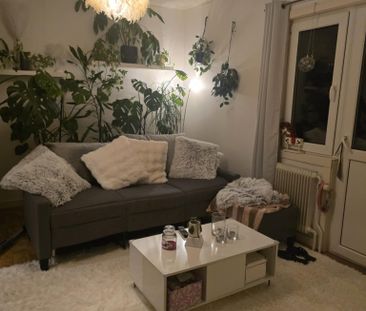 Hörle björkelund, Värnamo - Foto 5