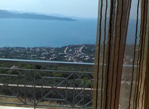 Μονοκατοικία για ενοικίαση - Ταμύνες, - Photo 4