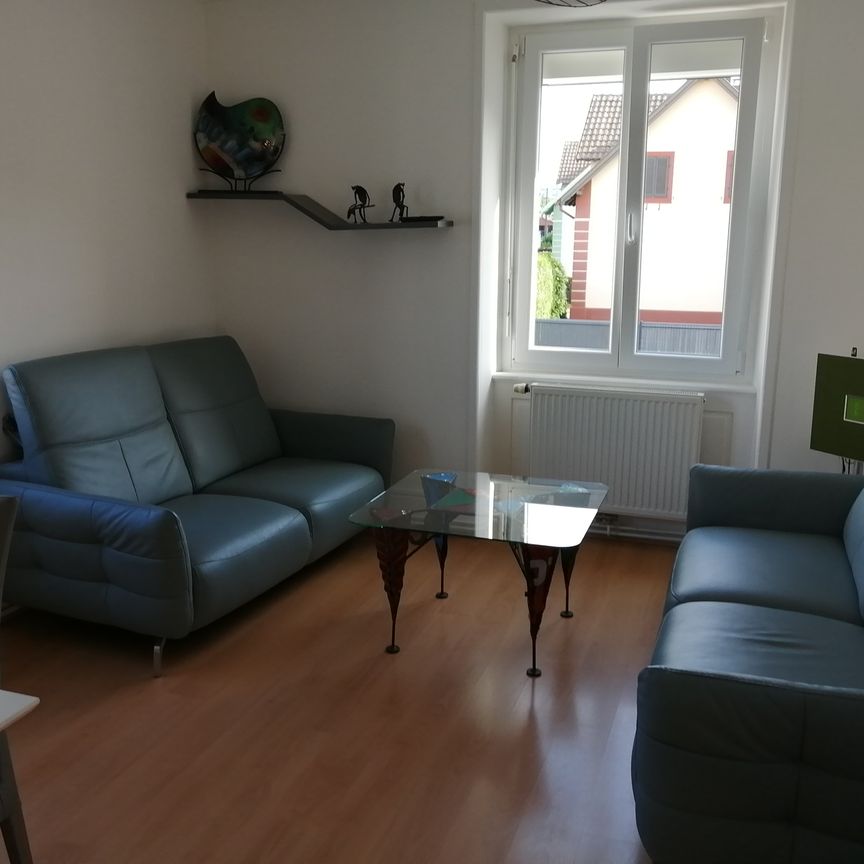 Location Appartement 3 pièces 62m² RIEDISHEIM 68400 - Photo 1