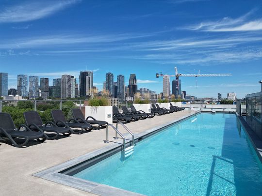 McCord CONDOS LOCATIFS A GRIFFINTOWN-CONDO RENTALS - Photo 1