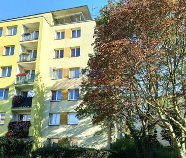 Drzetowo, ul. Willowa, Szczecin - Zdjęcie 2