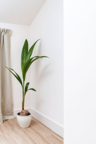 6 Bed Terraced House, Chester Road, M16 - Photo 4