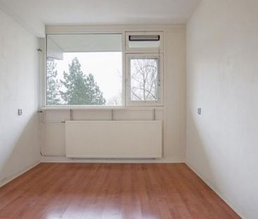 Spuikreek 3079 Rotterdam - Photo 6