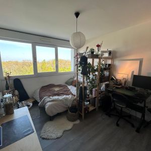 Location Appartement 1 pièce 19m² CHAMBRAY LES TOURS 37170 - Photo 2