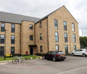 1 bedroom in a flat share to rent - Photo 5