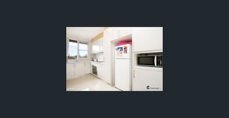 Flaw Less Location at Rockdale - Photo 3