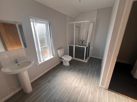 12 Minorca Place, Carrickfergus, BT38 8AU - Photo 4