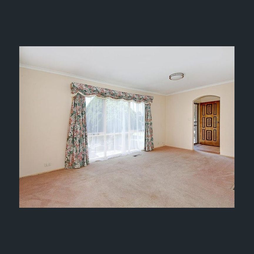 Quiet Location with Space to Play! - Photo 1