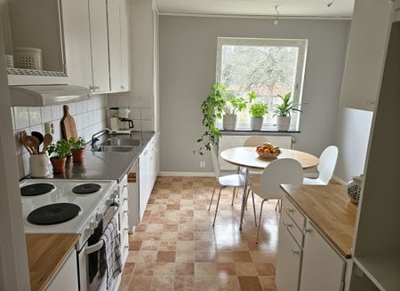 Avesta Hede: Nymålad tvåa med balkong - Foto 3