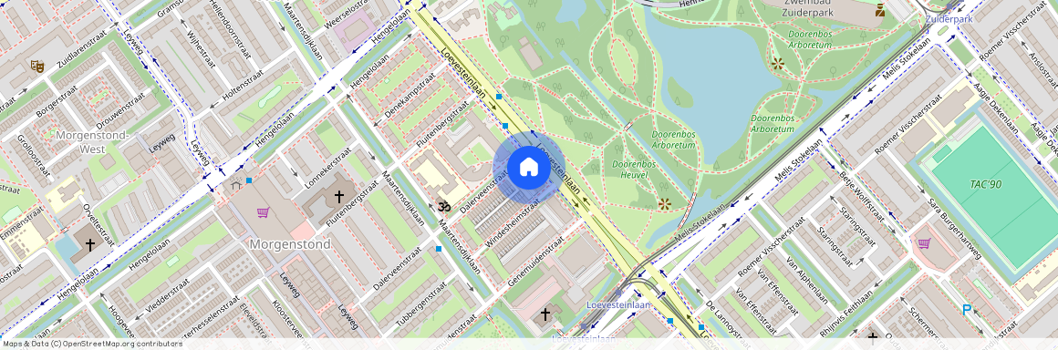 Loevesteinlaan 379 D, 2533 AM, 's-Gravenhage