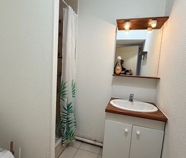 Location Appartement 1 pièce 26m² BIGANOS 33380 - Photo 4