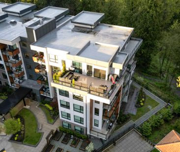 Fully Furnished Penthouse Suite - Photo 5