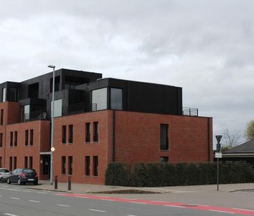 't Hoge 11 - Photo 4